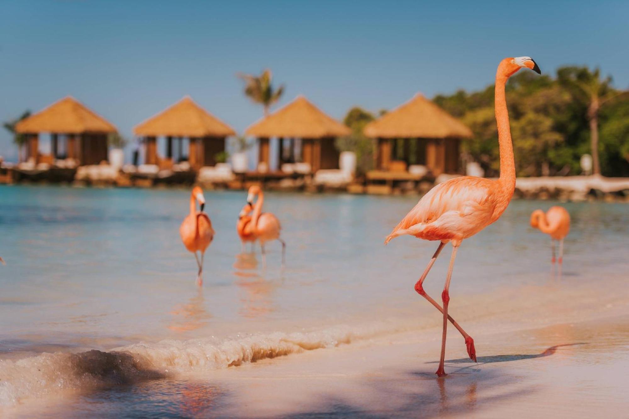 Renaissance Wind Creek Aruba Oranjestad