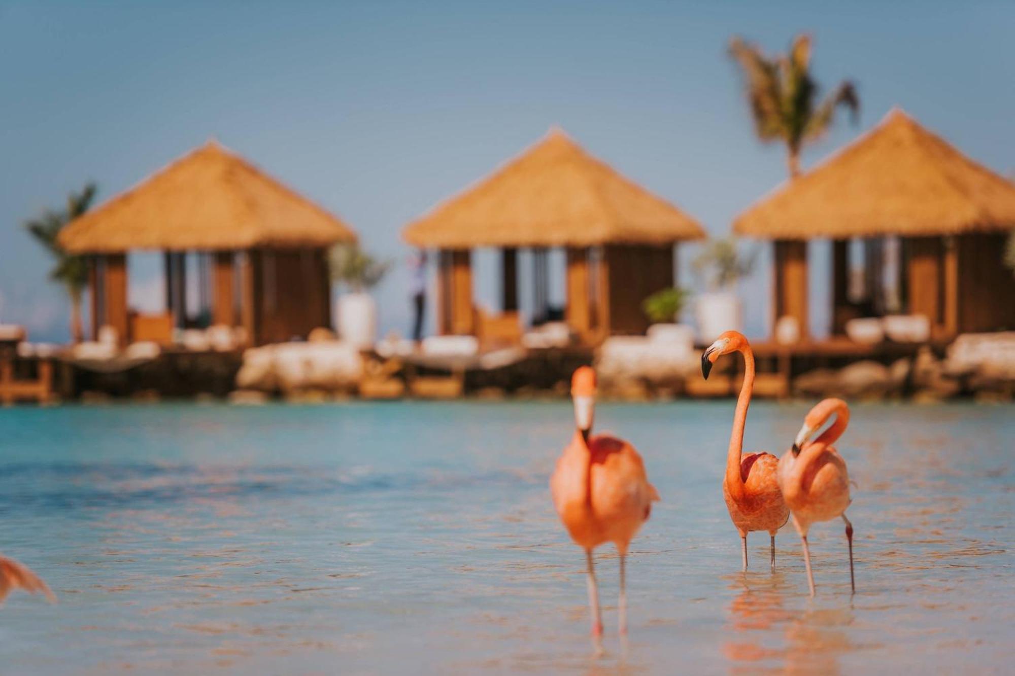 Renaissance Wind Creek Aruba Resort Oranjestad