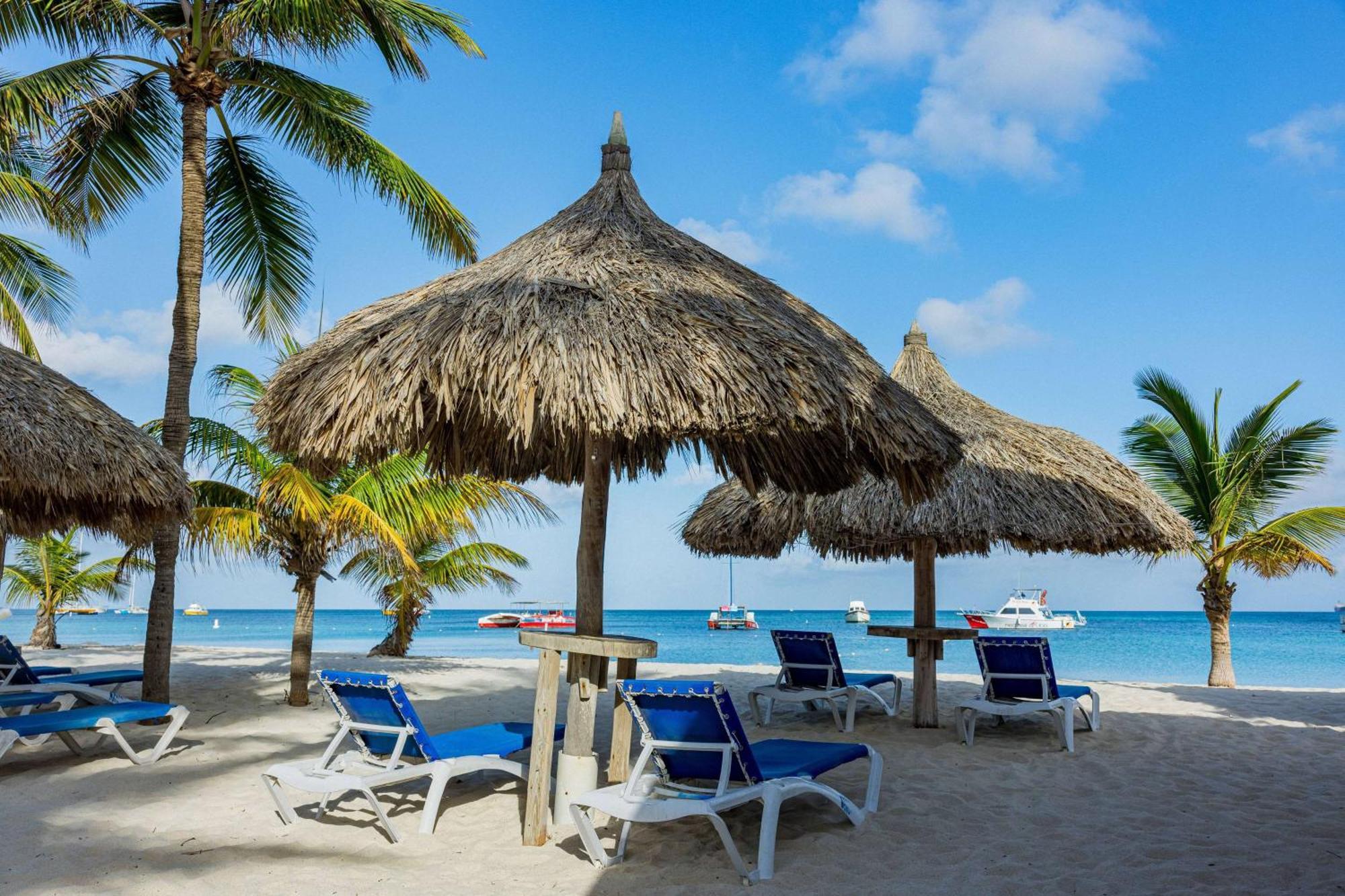 Hotel Tryp By Wyndham Aruba Adults Only
