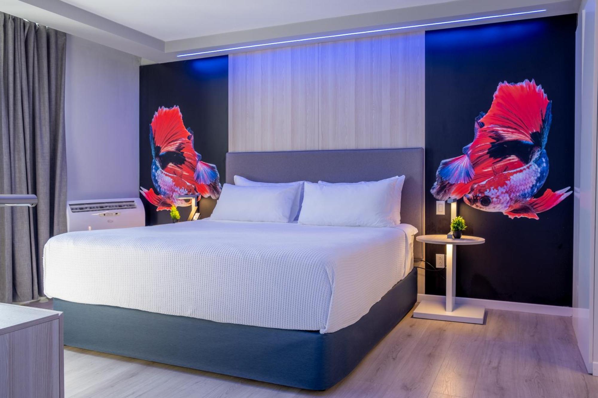 Tryp By Wyndham Aruba Adults Only 3* Palm Beach