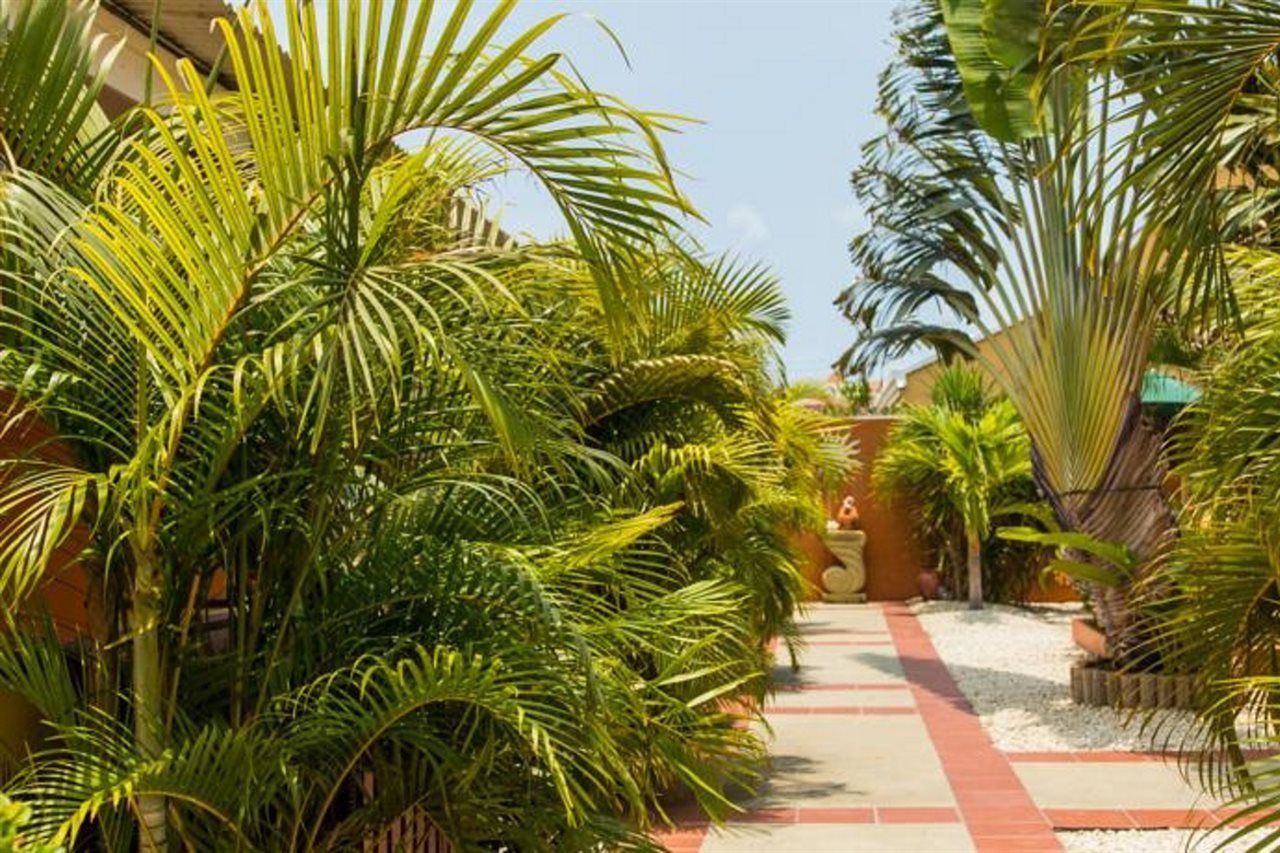 Carinas Studio Apartamento