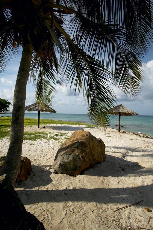 Homestay Bougainvillea Aruba Rumba *