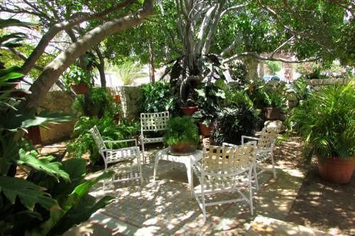 Aruba Dream *