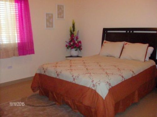 Aruba Dream Villa Palm Beach