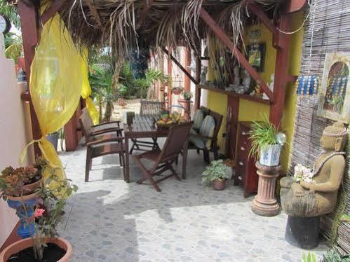 Little David - Adults Only 3* Oranjestad