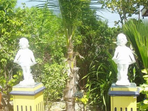 Hotel Little David - Adults Only Oranjestad