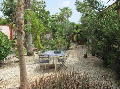 Little David - Adults Only Hotel 3*