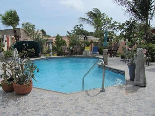 Hotel Little David - Adults Only