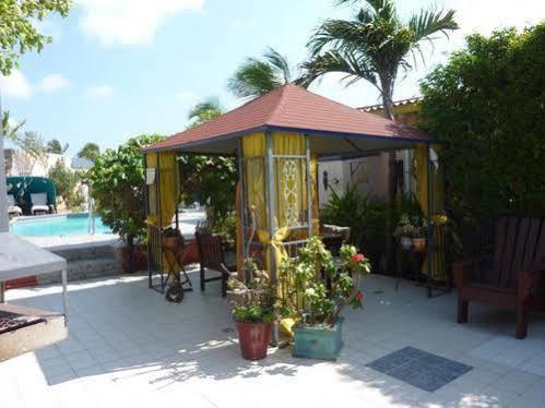 Little David - Adults Only Oranjestad