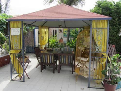 Hotel Little David - Adults Only Oranjestad