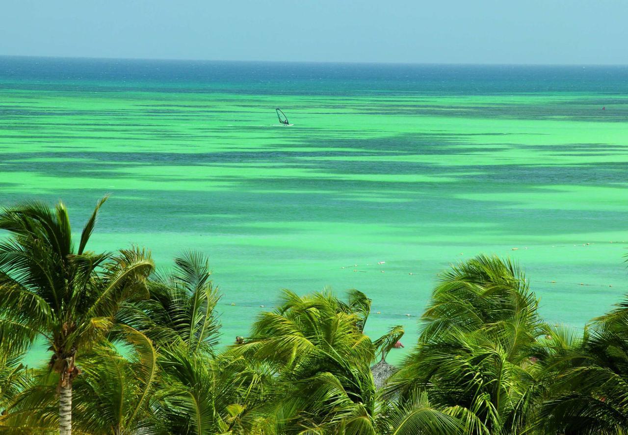 Hotel Marriott's Aruba Surf Club Palm Beach