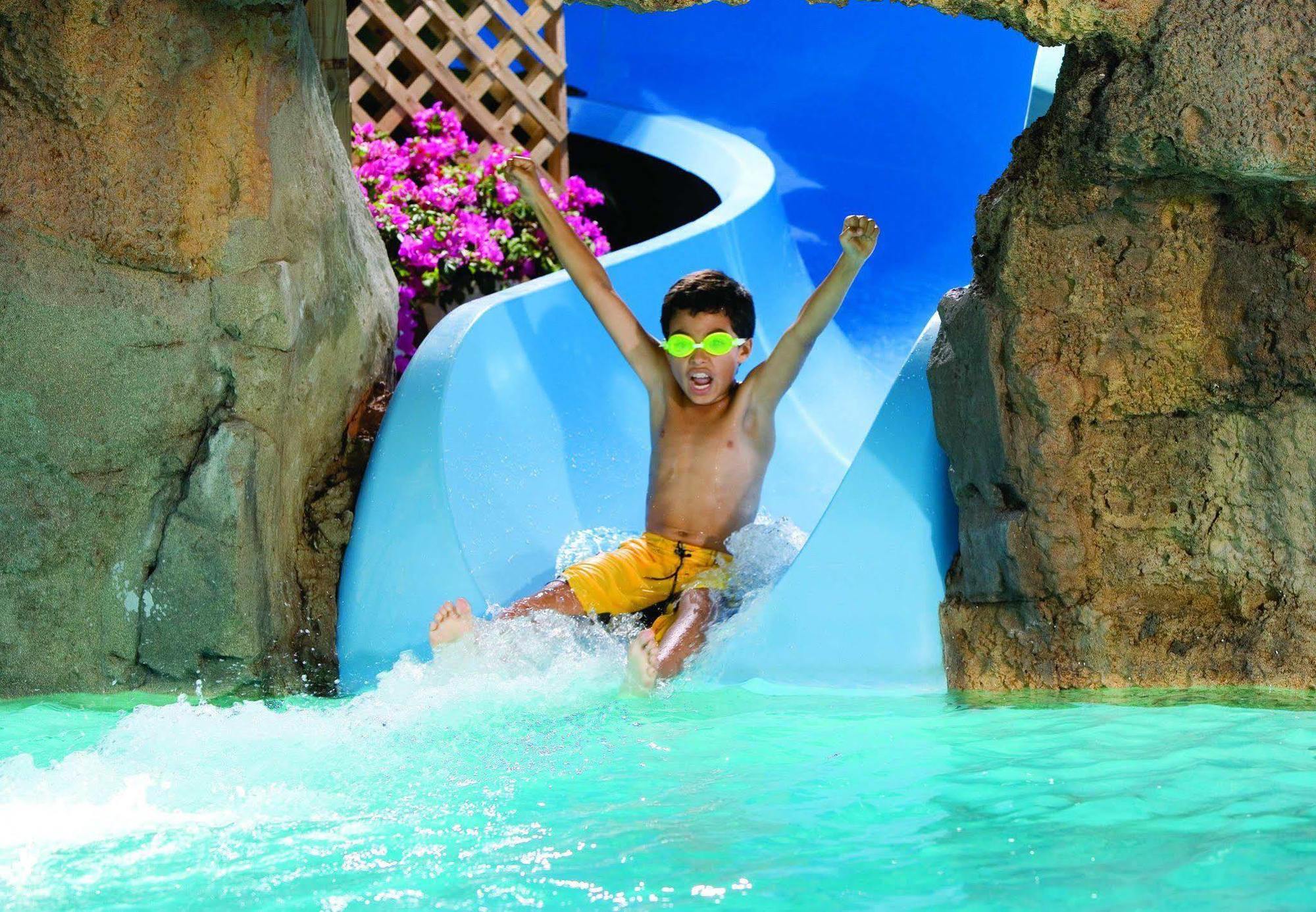 Hotel Marriott's Aruba Surf Club 3*