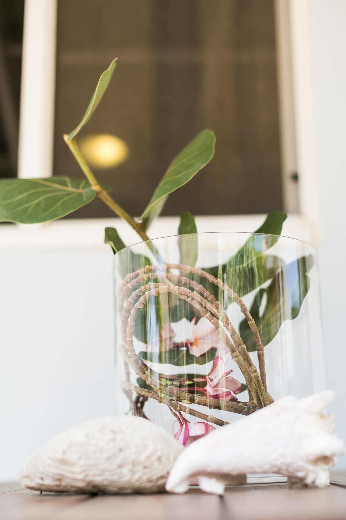 Pauline's Apartamento *