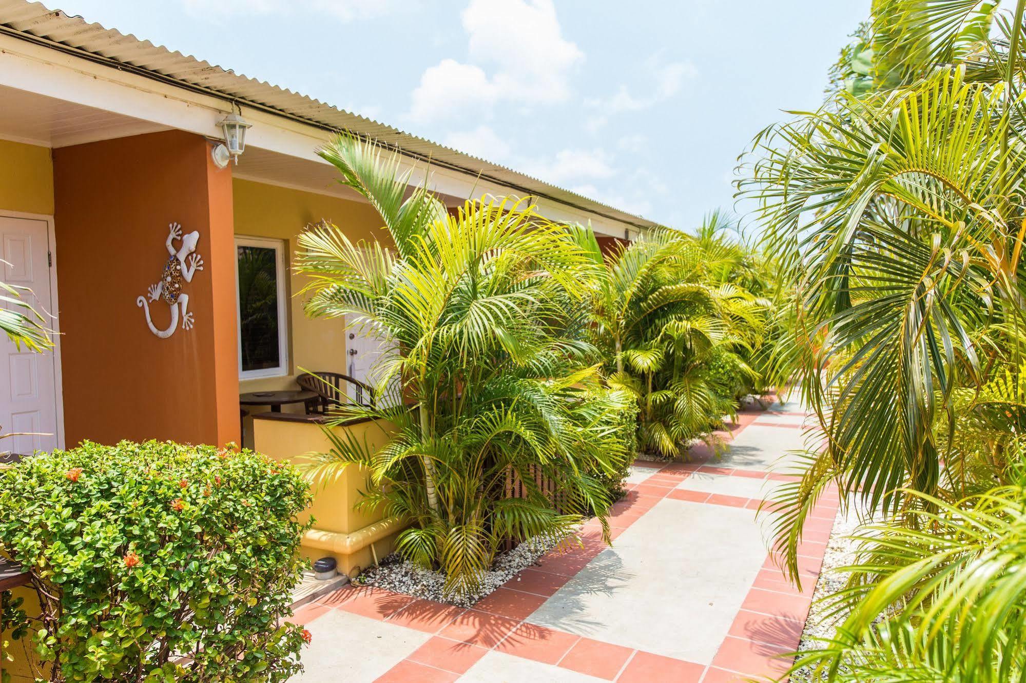 Carinas Studio Apartamento