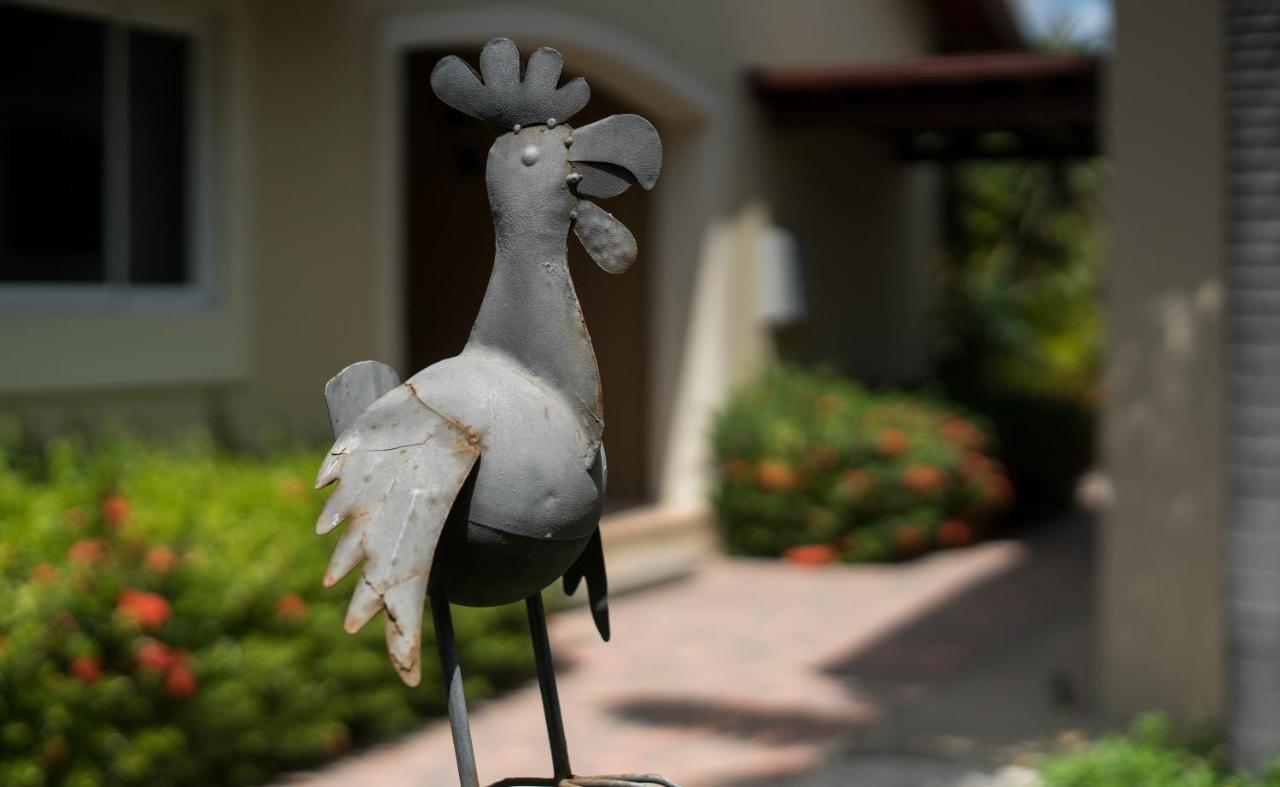 Costa Esmeralda Village Apartment Palm Beach