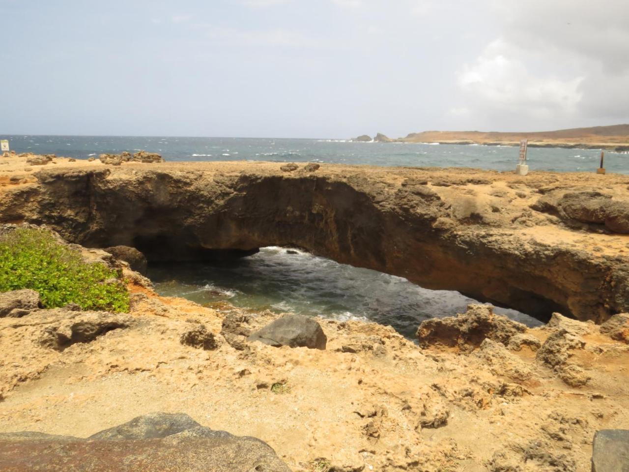 Karibu Aruba Palm Beach