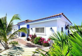 Aruba Dream Villa *