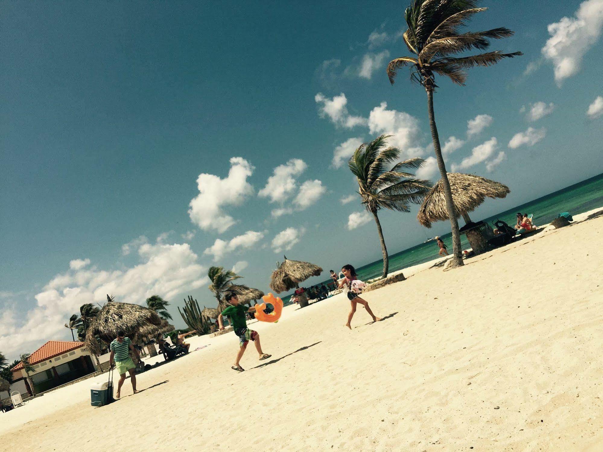 Aruba Dream Palm Beach