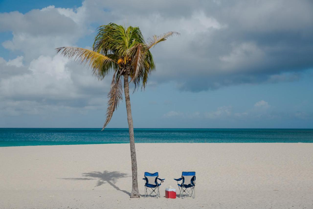 Little Palm Aruba