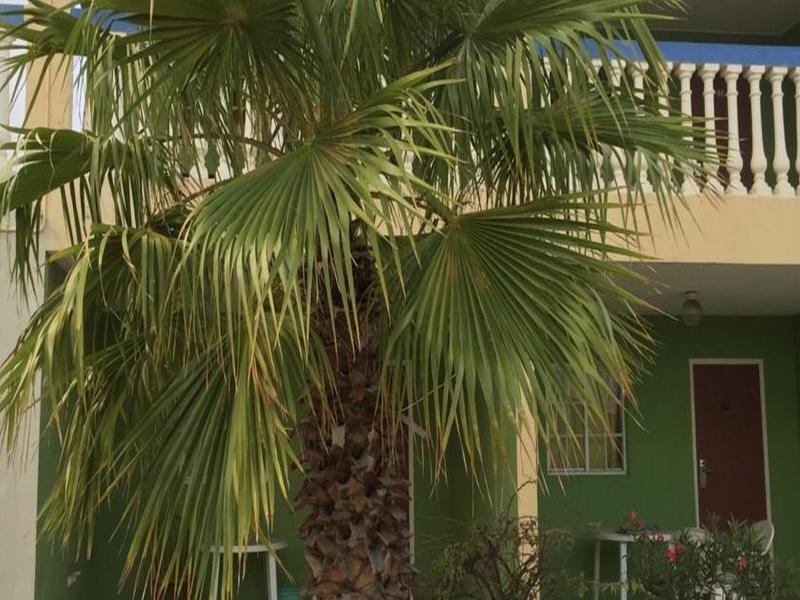 Aruba Blue Village And Hotel